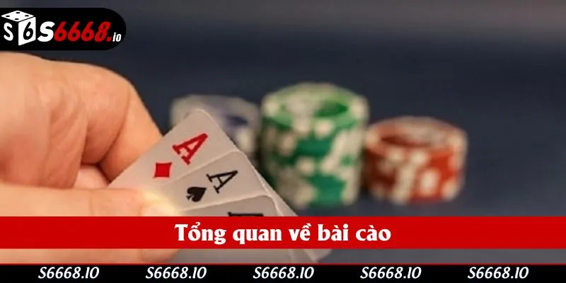 Tổng quan về bài cào Tổng quan về bài cào