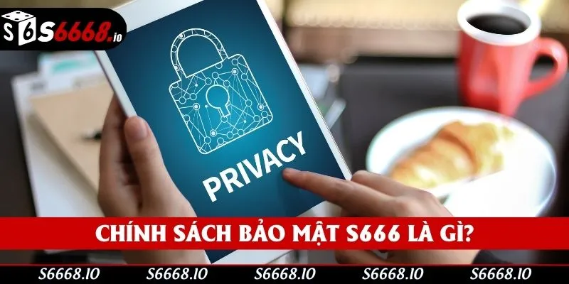 Sơ lược chính sách bảo mật Sơ lược chính sách bảo mật