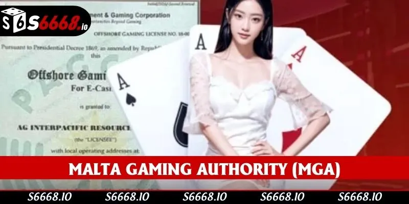 MGA là chứng chỉ hàng đầu trên thị trường
