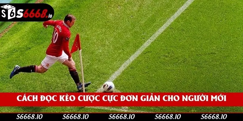 Cách đọc kèo cược cực đơn giản cho người mới Cách đọc kèo cược cực đơn giản cho người mới